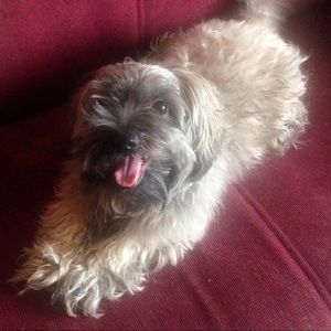 Meet your Posher, Odalis